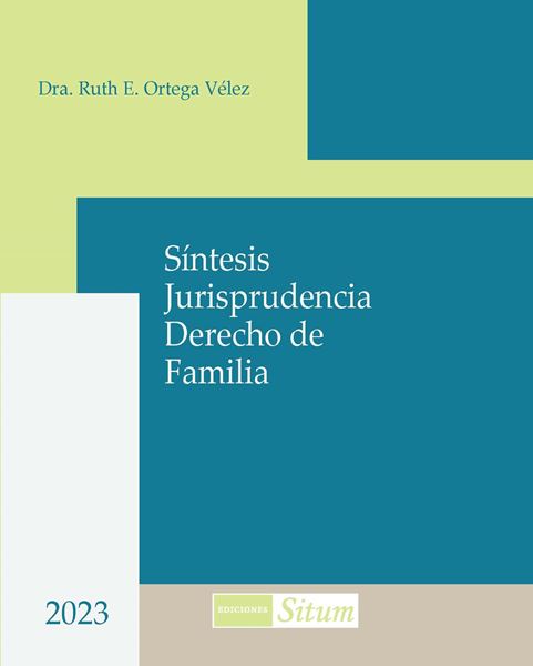 Picture of Sintesis Jurisprudencia Derecho de Familia 2023