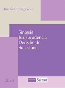 Picture of Síntesis Jurisprudencia Derecho de Sucesiones 2023