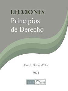 Picture of Lecciones Principios de Derecho 2023