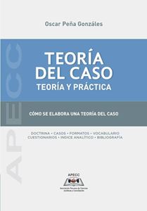 Picture of Teoría del caso. Teoría y Práctica
