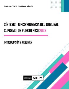 Picture of Sintesis: Jurisprudencia del Tribunal Supremo 2023